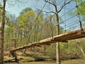 Suspension Bridge in Eno River State Park